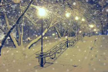 Kış Park'ta gece manzarası.