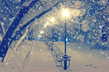 Kış Park'ta gece manzarası.
