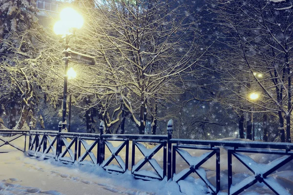 Noční krajina v zimě parku. — Stock fotografie