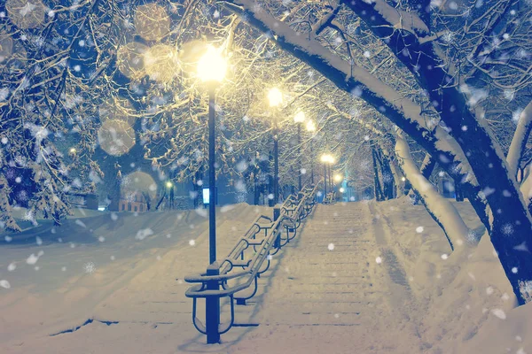 Éjszakai Tájkép Park télen. — Stock Fotó