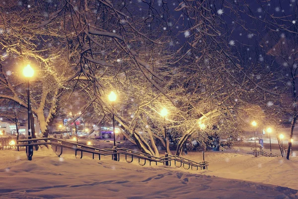 Kış Park'ta gece manzarası. — Stok fotoğraf