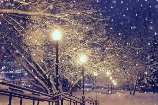 Kış Park'ta gece manzarası. — Stok fotoğraf