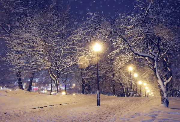 Nachtlandschaft im Winterpark. — Stockfoto