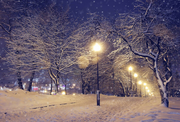 Night landscape in winter park. Light lights and falling snow. Beautiful background with night illumination.