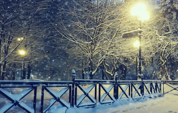Nachtlandschaft im Winterpark. — Stockfoto