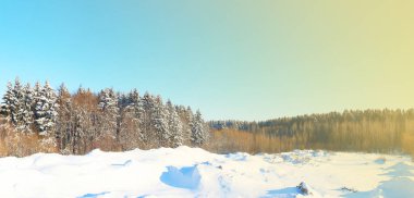 Kış güneşli günde orman ve tepeler bir arka plan