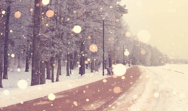 Φωτεινό χειμερινή Ανατολή στο πάρκο παρασκήνιο. — Φωτογραφία Αρχείου