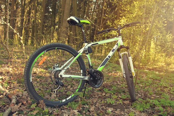 Vélo, printemps, verdure, soleil dans les bois en plein air close-up . — Photo
