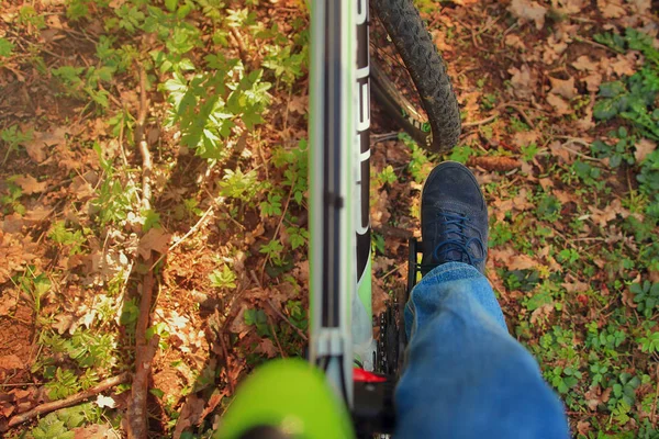 Bir adam bir orman yolu baharda bir bisiklet sürme kadar yakın. — Stok fotoğraf