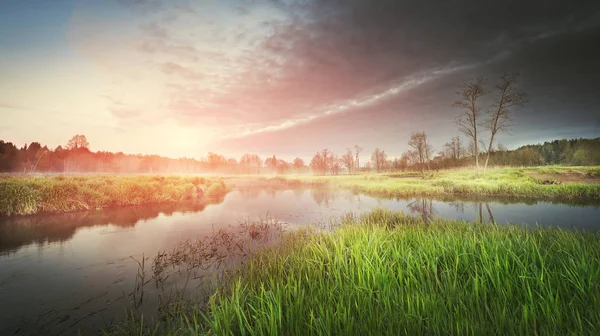 Un paisaje de la naturaleza en una mañana de verano en el río al amanecer — Foto de Stock