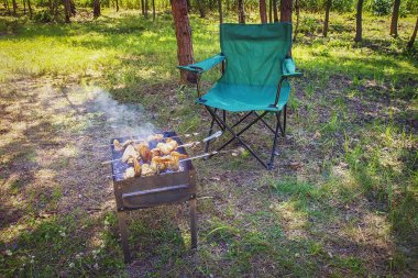 Fry et tehlikede. Şiş kebap Izgara yandı. Yaz tatili doğa