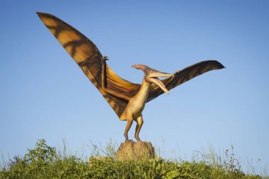Minsk, Beyaz Rusya - 17 Eylül 2017: Gerçekçi modellerin Pterodactyl dinazorların Dino Park.