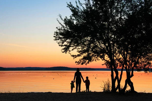 Family holds hands under tree at sunset.