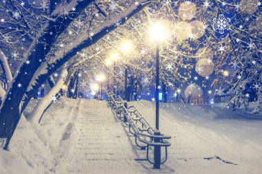 Geceleri kış parkında fenerler. Noel için güzel bir kar yağışı. Sihirli şehirde kar taneleri kara düşer. Kış gecesi parkının manzarası. Xmas ve Yeni Yıl.