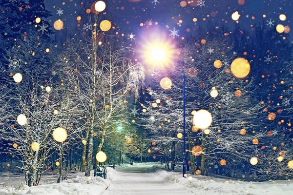 Glowing snowflakes fall in winter night park. Theme of Christmas and New Year. Winter scene of night park in snow — Stock Photo, Image