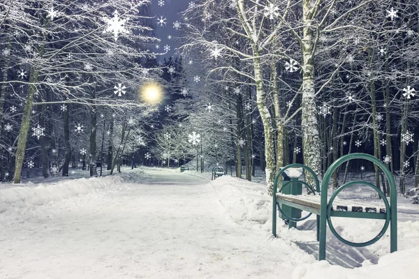 Χιονοπτώσεις στο πάρκο νύχτα του χειμώνα. Πρωτοχρονιά και τα Χριστούγεννα το θέμα. Τοπίο του χειμώνα στην πόλη. — Φωτογραφία Αρχείου