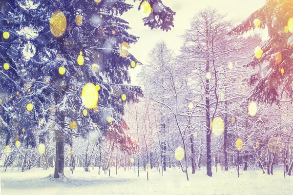 Weihnachtlicher Hintergrund. Farbe Schneeflocken auf Winter Wald Hintergrund. Schneefall im Wald. heller Wintersonnenuntergang. schönes Weihnachtsthema — Stockfoto