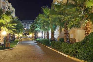 Palmiye ağaçları ile tropikal şehrin gece manzarası. Türkiye'deki tesisi alanı.