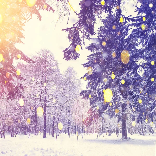 Schönes Weihnachtsthema. Farbe Schneeflocken auf Winter Wald Hintergrund. Schneefall im Wald. heller Wintersonnenaufgang — Stockfoto