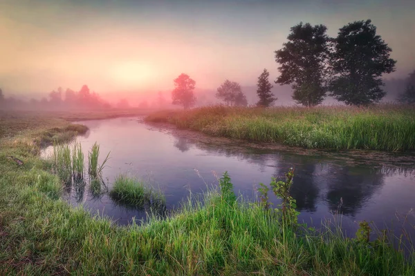 sabah gündoğumu doğal Nehri üzerinde. Şafakta güzel misty doğa manzara. Renkli sabah.