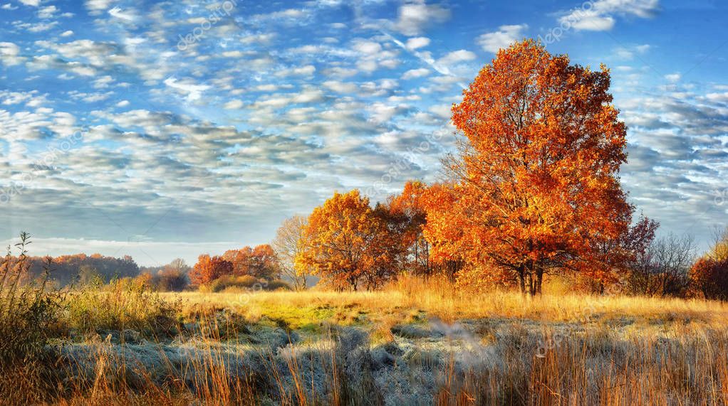 fall scenery fall scenery