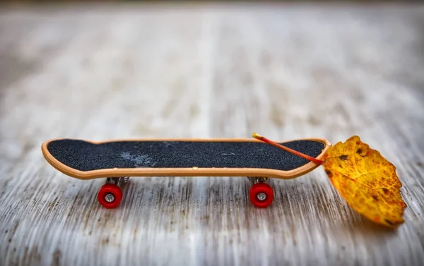 Skate kecil dengan pemberat daun kuning. Reset pemberat, konsep optimisasi dan promosi — Stok Foto