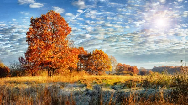 Landschaft von farbenfrostiger Herbstnatur an sonnigen Tagen. Fallrückzieher — Stockfoto