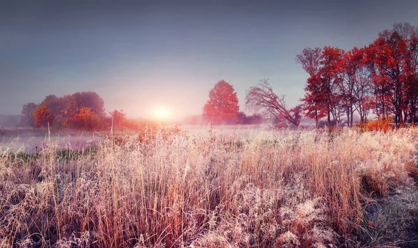 Paisagem de outono gelada de novembro natureza ao nascer do sol. Cenário outono colorido com hoarfrost — Fotografia de Stock