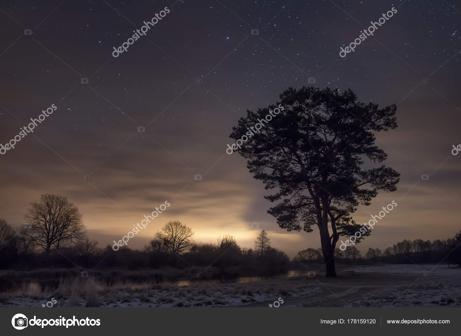 Paysage De Nuit Du Ciel étoilé Et Nuageux Avec Arbre Au Bord