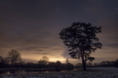 Yıldızlı ve bulutlu gökyüzü ağaç kıyıya Nehri üzerinde gece manzarası. Doğada soğuk kış gecesi.