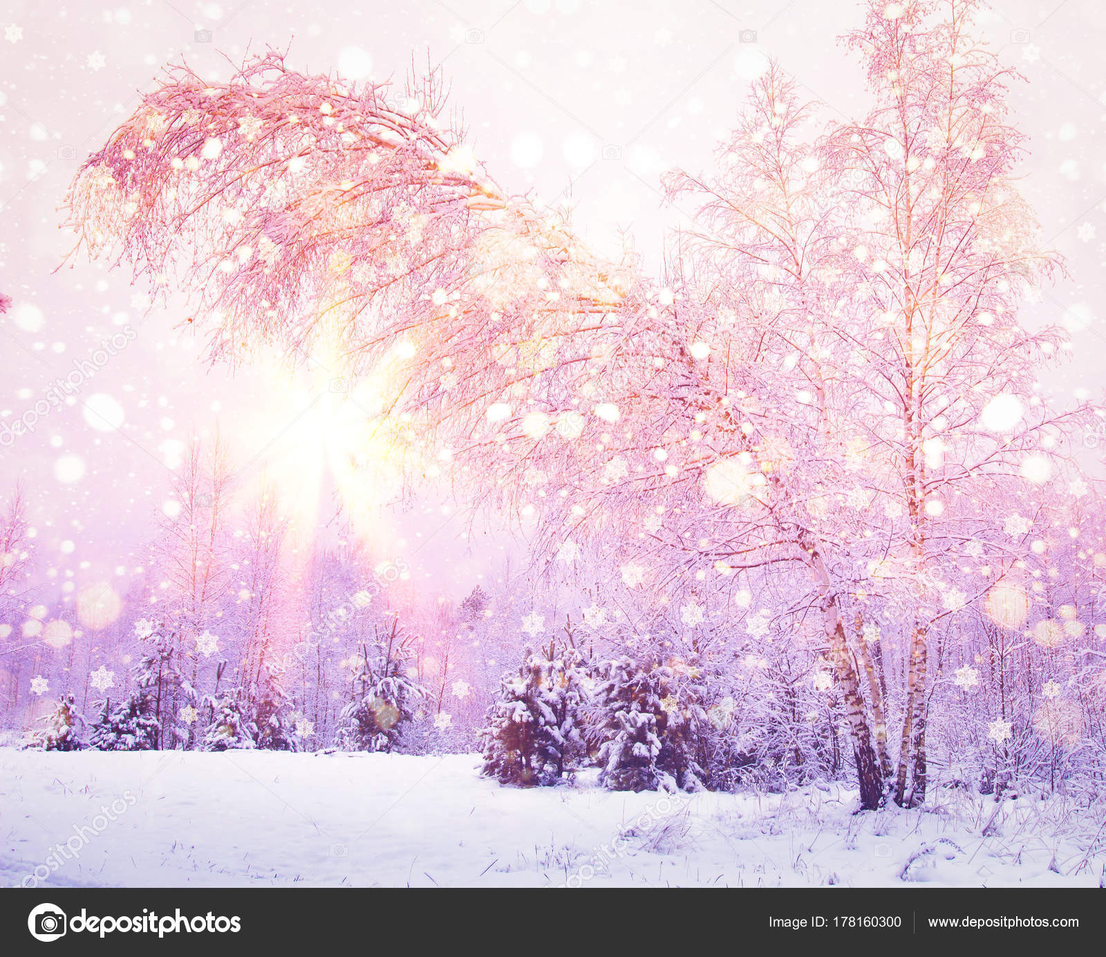 Winter at sunrise with pink light of sun. Colored snowflakes shining on sun. Snowy forest. Christmas background Stock by ©DzmitRock87@gmail.com