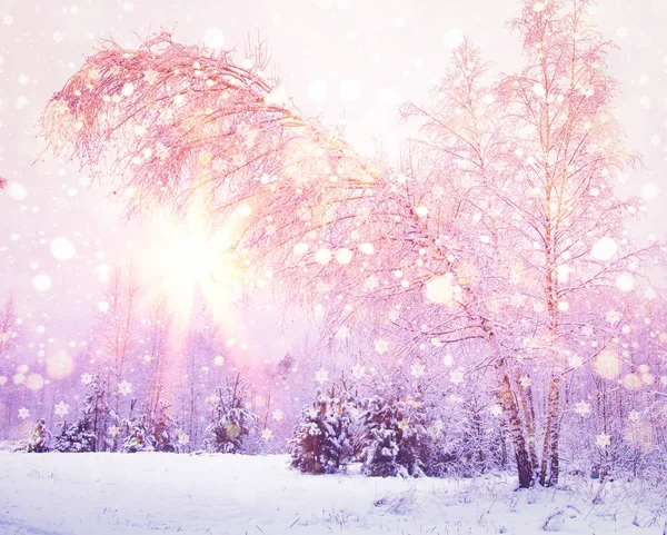 Winter nature at sunrise with pink light of sun. Colored snowflakes shining on sun. Snowy forest. Christmas background — Stock Photo, Image