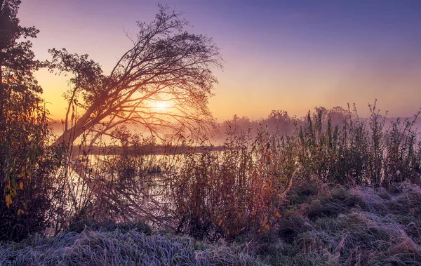 Spring morning sunrise at outdoor nature. Scenic landscape of colorful frosty spring morning. Dawn over wild lake with hoarfrost on grass.
