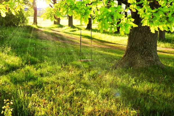 Swing on big green tree. Sun rays through the branches of tree on bright summer day. Swing on the tree. scene of happy childhood. — Stock Photo, Image