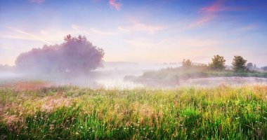 Bahar çayır manzara. Sabah doğada doğal sahne. Sis ve sabah yaz gökyüzü ile doğal nehir