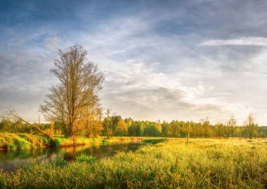Ağaç ve yeşil çim Nehri'nin çayır ve sahne sahilinin bahar parlak manzara. Kırsal doğal sahne. Doğa arka plan. Çayır çim üzerinde sıcak güneş ışığı. Güneş ufukta parlayan orman.