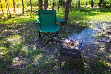 Barbekü doğada. Açık havada dinlenmek. Barbekü et ile yangın veya kömürlerin üzerinde kavrulmuş. Barbekü et ile yakın kamp sandalyede. Doğa yaz aylarında piknik. Açık havada vakit.