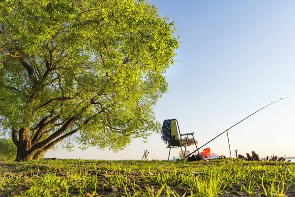 Fishing rod and fishing chair under large green tree on beautiful shore of lake or river on warm summer evening. Active summer fishing. Landscape of scenic nature for fishing without fisherman.