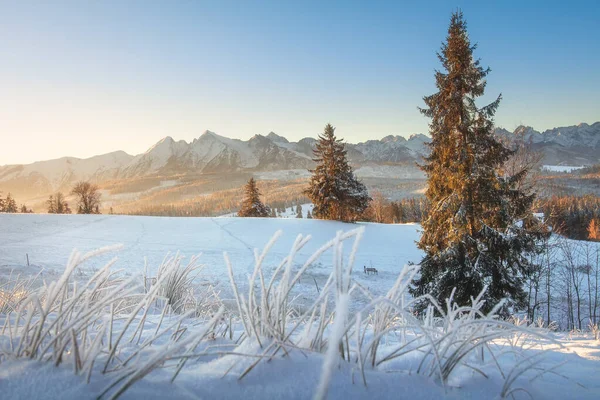 Natura invernale all'alba del mattino. Vista panoramica sulla montagna innevata — Foto Stock