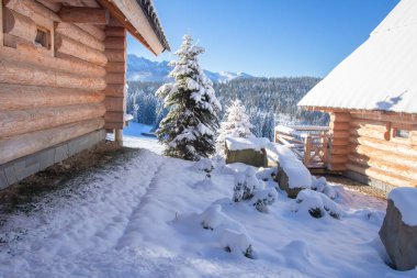 Tahta evi ve karlı Noel ağaçları olan kış manzarası 
