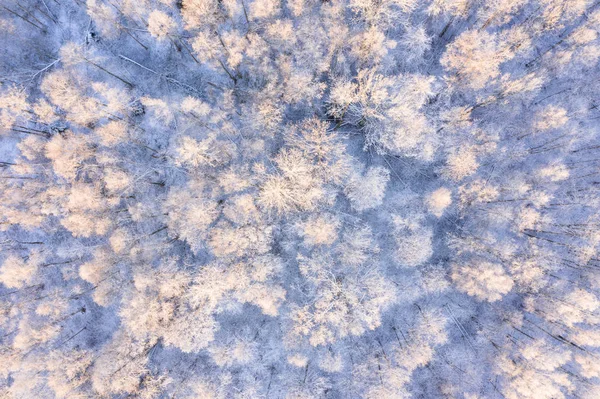 Weihnachtsurlaub Hintergrund. erstaunliche Winterlandschaft. s — Stockfoto