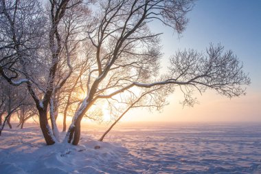 Güneşin doğuşunda ılık güneş ışığında güzel bir kış manzarası. A
