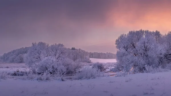 Winterlandschaft im morgendlichen farbenfrohen Sonnenaufgang. Frostige Bäume bedecken — Stockfoto
