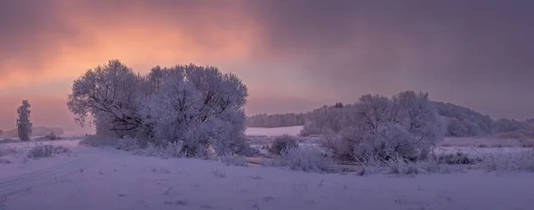 Paisagem da natureza de inverno no nascer do sol vívido colorido. Manhã de inverno — Fotografia de Stock