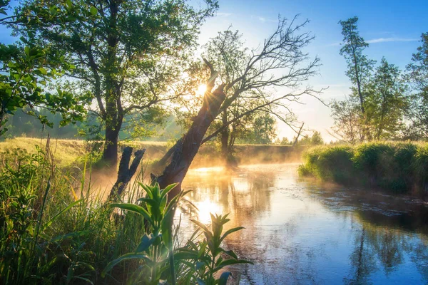 Increíble paisaje mañana soleada en el río — Foto de Stock