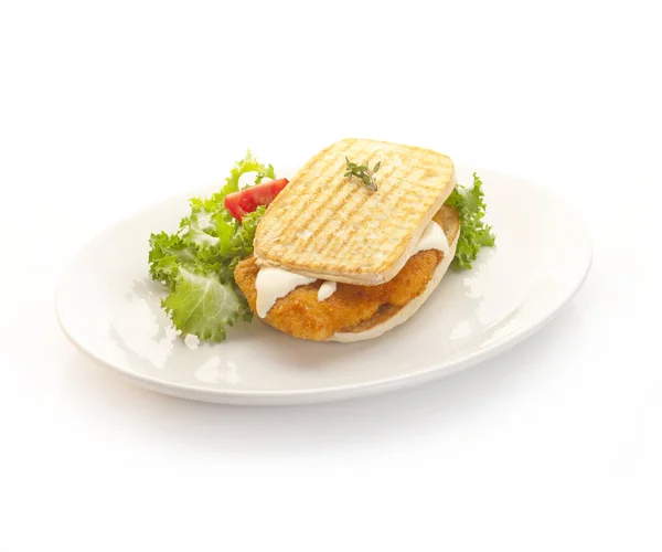 Balık sandviç taze salata ile — Stok fotoğraf
