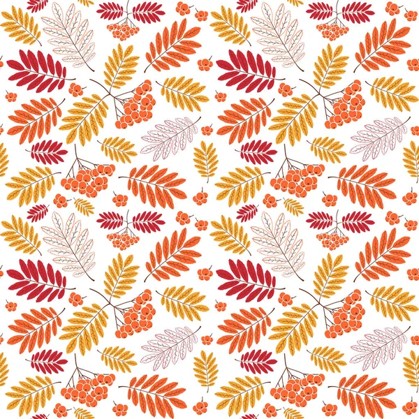 Varrat nélküli őszi mintás, sárga, piros és narancssárga levelek és bogyók — Stock Vector