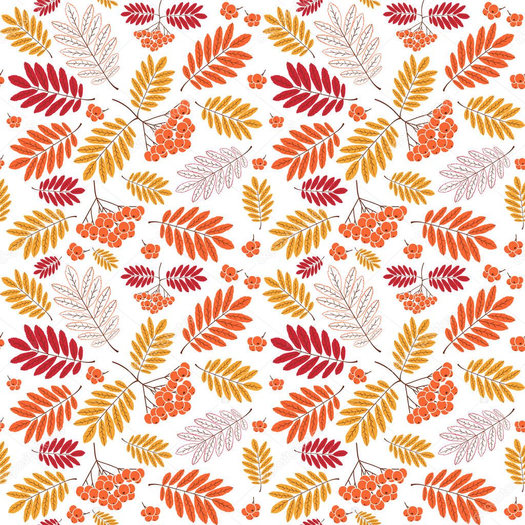Seamless autumn pattern with yellow, red and orange leaves and berries
