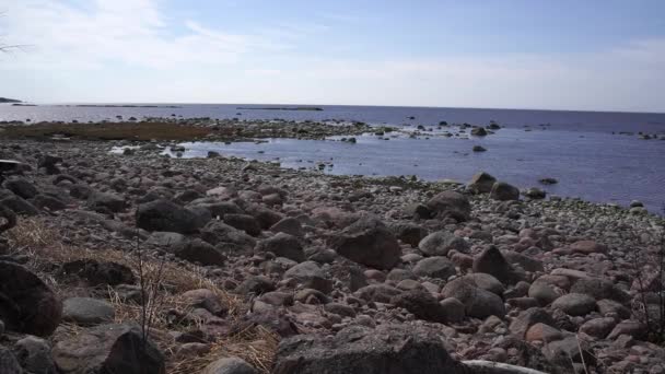 Rocas Olas Costa Báltica — Vídeo de stock