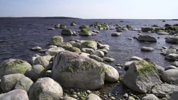 Felsen Und Wellen Der Ostseeküste — Stockvideo